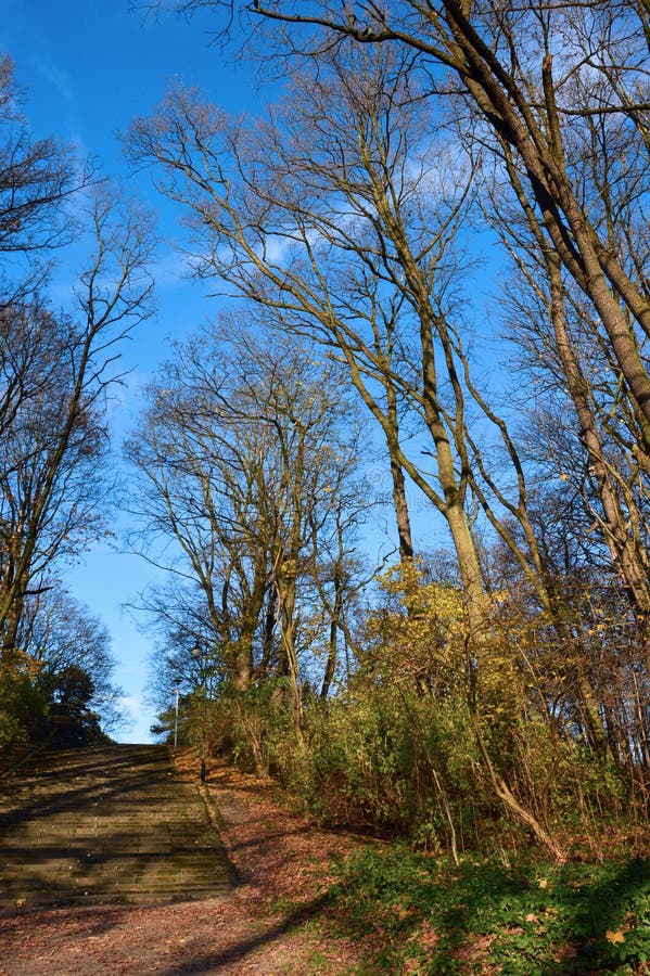 Late fall on the stairway stock image Late fall on the stairway stock image