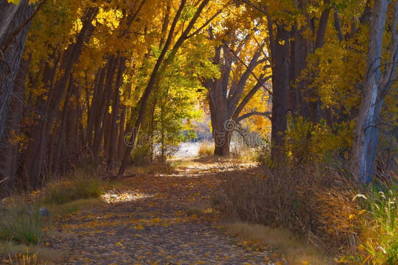 October on the Western Slope of Colorado Stock Photo - Image of diverse ...