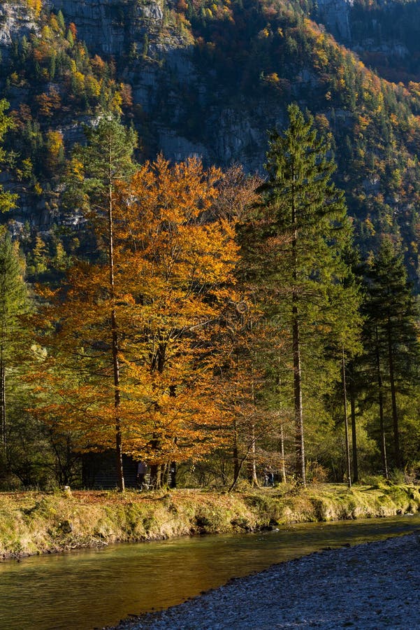 Late summer autumn nice colors nature stock image Late summer autumn nice colors nature stock image
