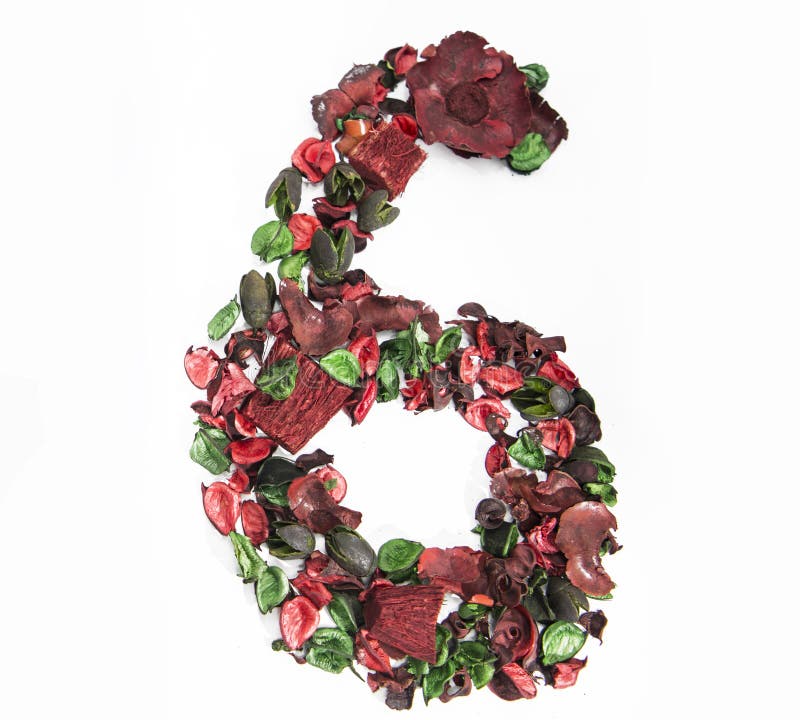 Latin Alphabet Number Made from Dry Rose Flowers. Stock Illustration
