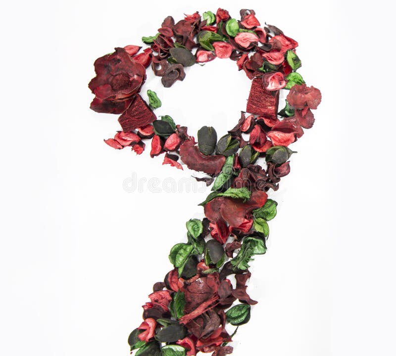 Latin alphabet number made from dry rose flowers. stock illustration