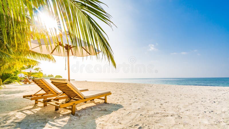 Lato podróży miejsca przeznaczenia tło Lato plażowa scena, słońc łóżek słońca parasol i drzewka palmowe, Lato podróży miejsca przeznaczenia tło Lato plażowa scena, słońc łóżek słońca parasol i drzewka palmowe,
