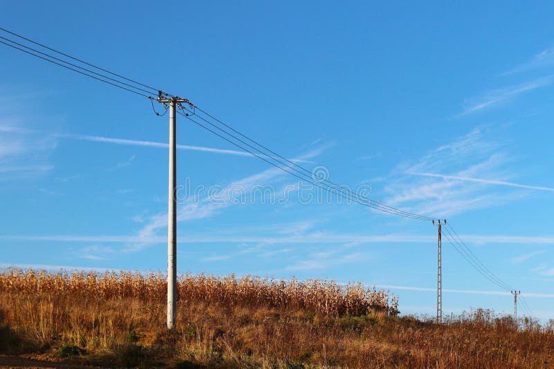 Lato łąka w promieniach słońce z nadciągającą thundercloud i elektryczności linią Pogodowa zmiana Burza na słonecznym dniu Na obraz royalty free Lato łąka w promieniach słońce z nadciągającą thundercloud i elektryczności linią Pogodowa zmiana Burza na słonecznym dniu Na obraz royalty free