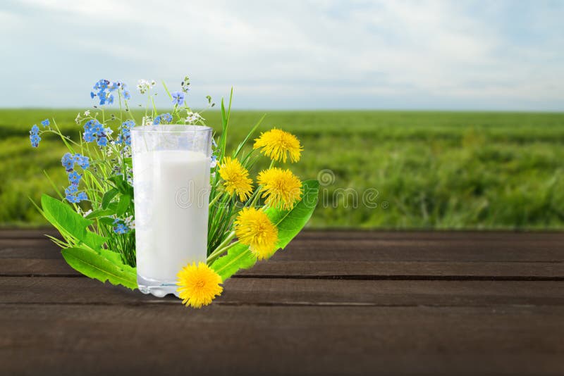 Latte e giacimento soleggiato della molla immagine stock Latte e giacimento soleggiato della molla immagine stock