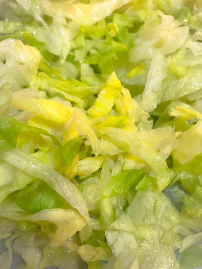 Lattuga di iceberg tagliuzzata immagini stock libere da diritti Lattuga di iceberg tagliuzzata immagini stock libere da diritti
