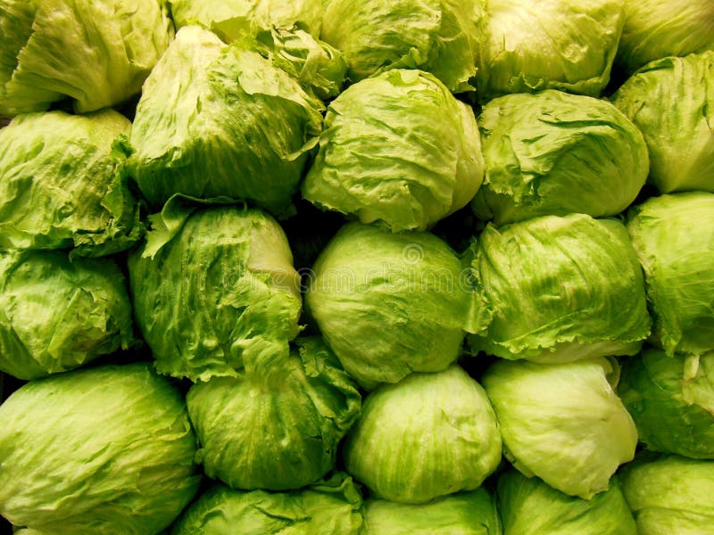 Lattuga di iceberg verde impilata immagini stock libere da diritti Lattuga di iceberg verde impilata immagini stock libere da diritti