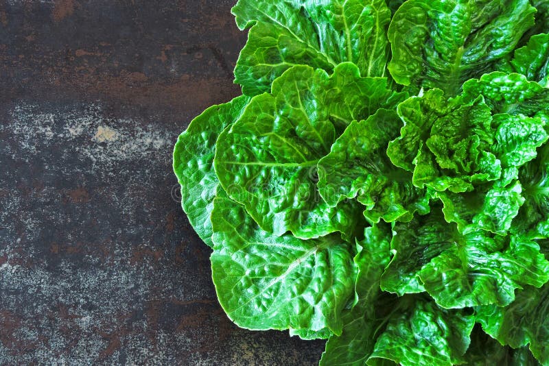 Lattuga di roma verde fresca Un bel po' di lattuga verde su uno sfondo di stile loft immagine stock libera da diritti