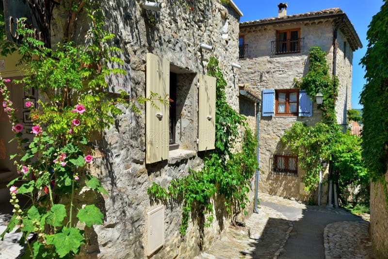 Lattuga romana della La di Vaison, Provenza immagine stock Lattuga romana della La di Vaison, Provenza immagine stock