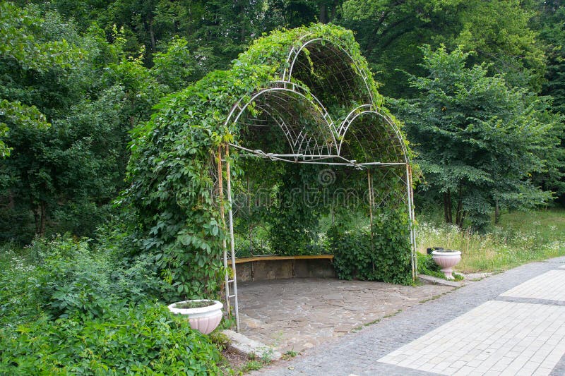 Laube Im Garten Twined Einen Efeu Stockbild Bild von