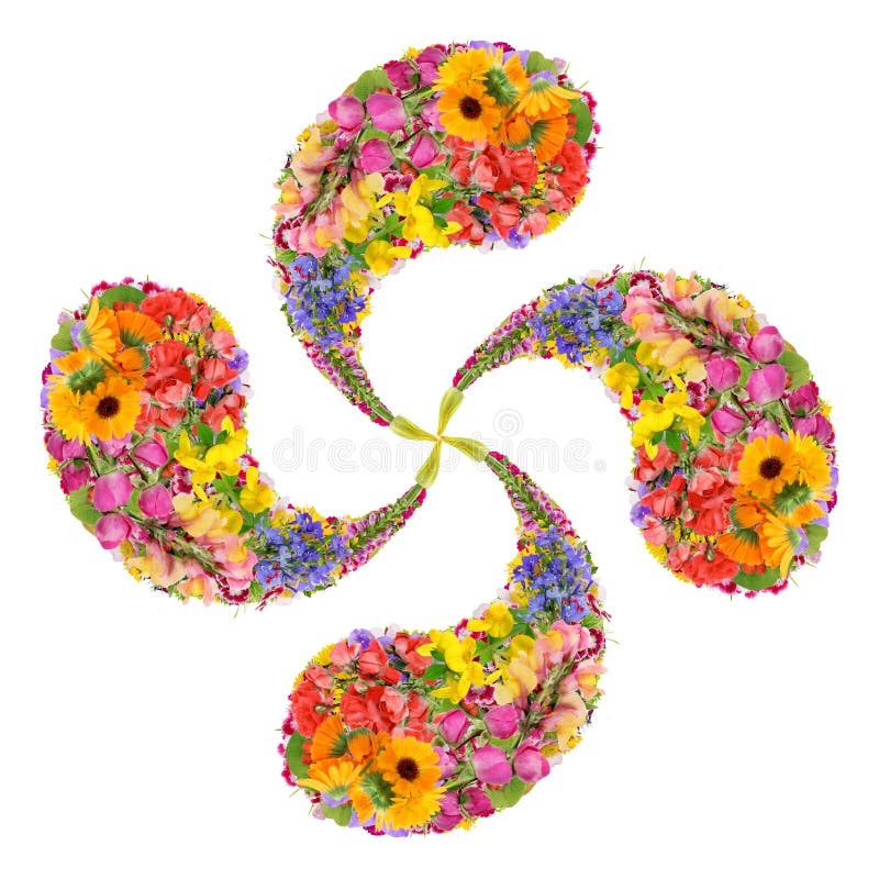 The lauburu or Basque cross is a traditional Basque hooked cross with four comma-shaped heads isolated flowers stock photos The lauburu or Basque cross is a traditional Basque hooked cross with four comma-shaped heads isolated flowers stock photos