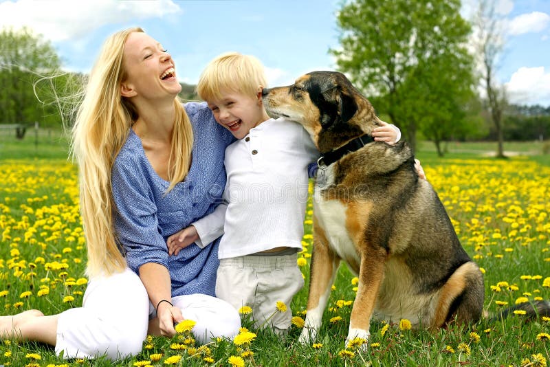 A happy, young mother and her little child are sitting outside in a Dandelion Flower meadow, laughing as the play with their pet German Shepherd Dog. A happy, young mother and her little child are sitting outside in a Dandelion Flower meadow, laughing as the play with their pet German Shepherd Dog.