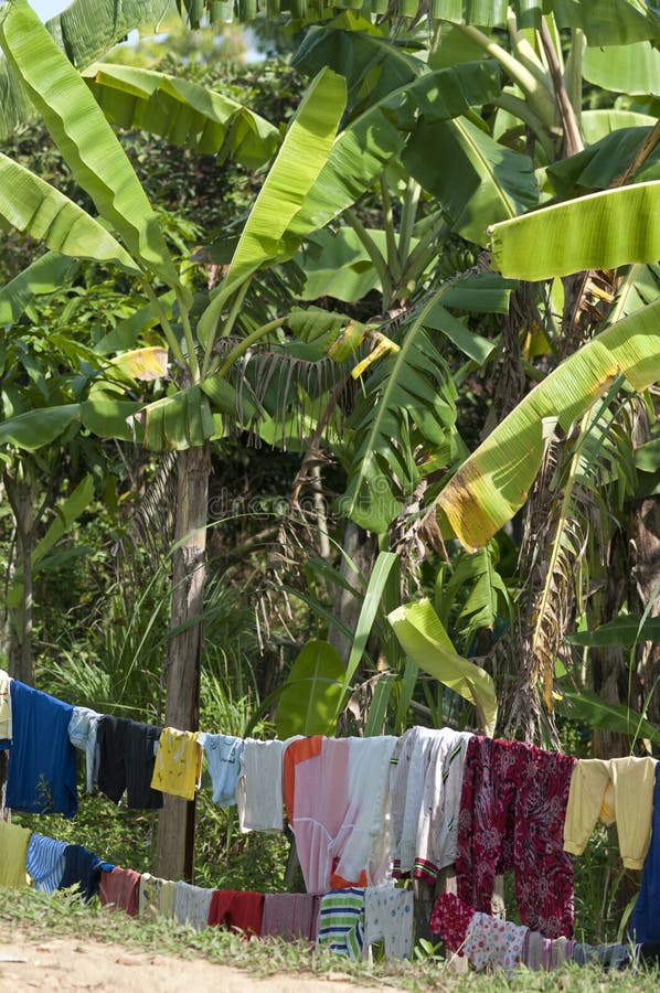 6+ Laundry clotheslines Free Stock Photos - StockFreeImages