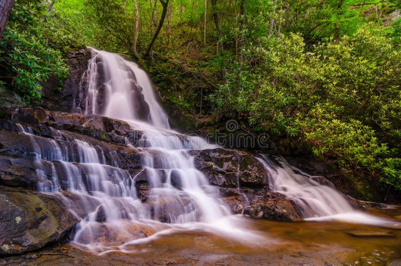 Laurel Falls, Great Smoky Mountains photos stock Laurel Falls, Great Smoky Mountains photos stock