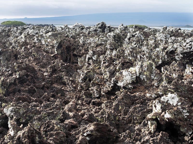 A lava enchida na ilha Islote Tintoreras comemora a alunagem, Galápagos, Equador fotografia de stock A lava enchida na ilha Islote Tintoreras comemora a alunagem, Galápagos, Equador fotografia de stock