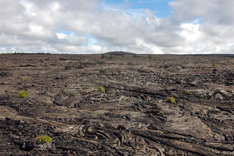 Lava Field