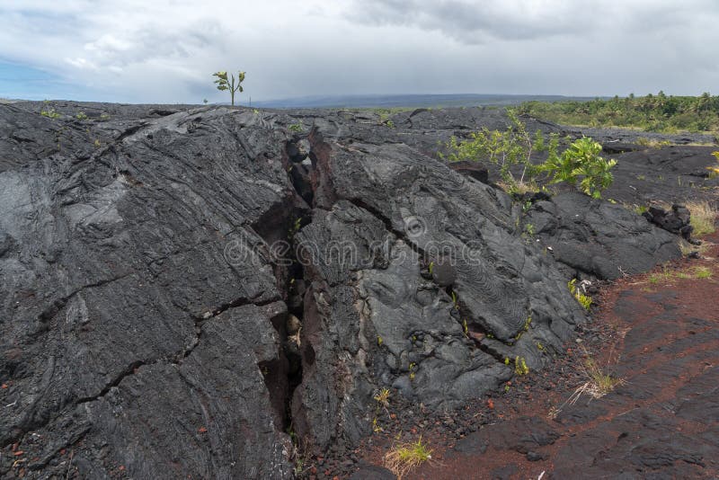 Lava Field sur la grande île d'Hawaï image stock Lava Field sur la grande île d'Hawaï image stock