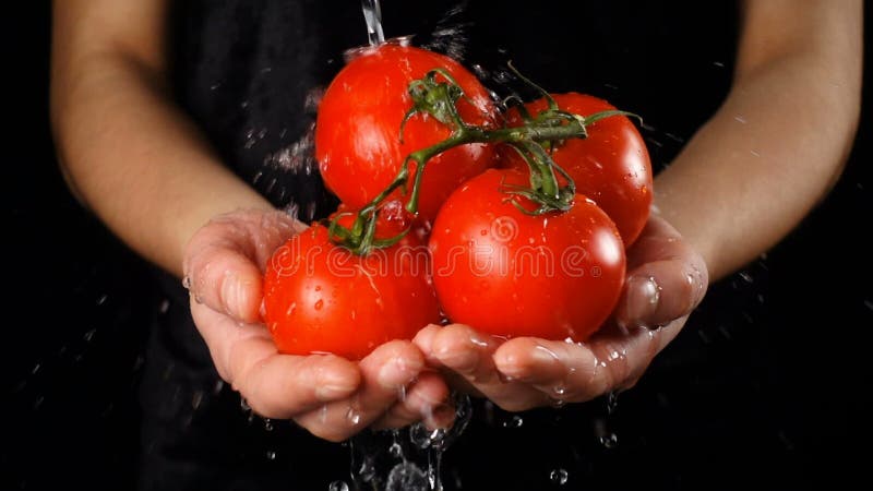 Lavage des tomates rouges chez des mains de la femme, mouvement lent clips vidéos