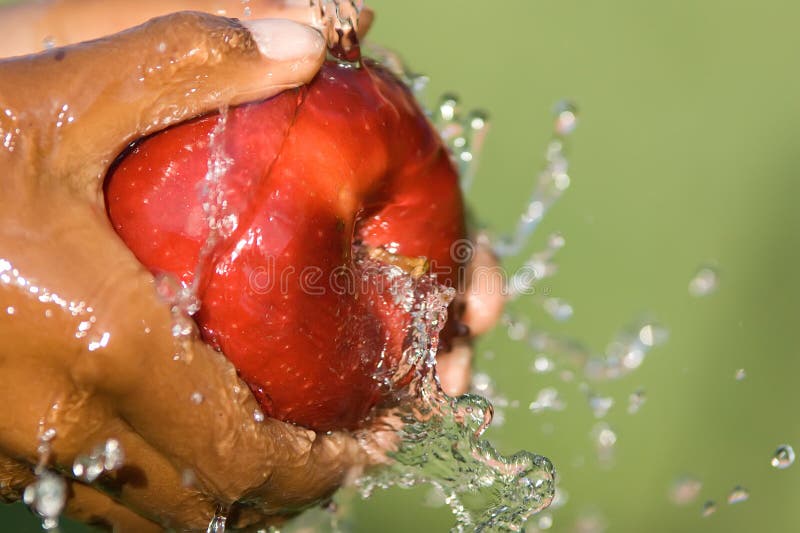 Lavaggio del Apple fotografia stock libera da diritti Lavaggio del Apple fotografia stock libera da diritti