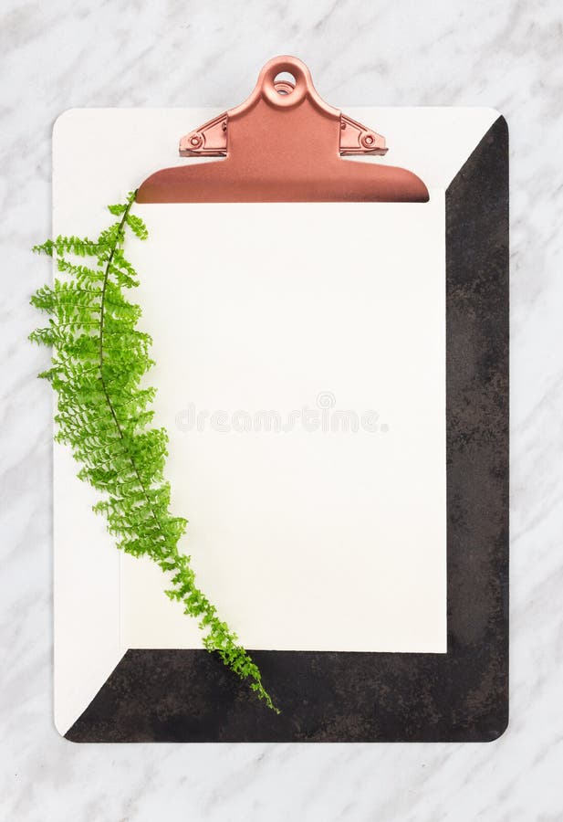 Lavagna per appunti alla moda con lo strato della carta in bianco e la pianta verde fotografia stock libera da diritti Lavagna per appunti alla moda con lo strato della carta in bianco e la pianta verde fotografia stock libera da diritti