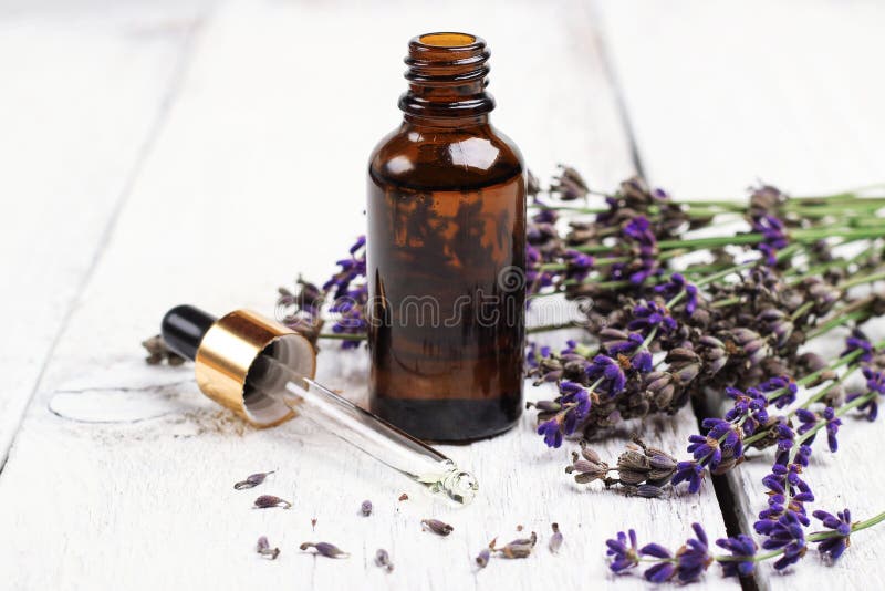 Lavanda y aceite secos en una tabla de madera blanca fotografía de archivo libre de regalías Lavanda y aceite secos en una tabla de madera blanca fotografía de archivo libre de regalías