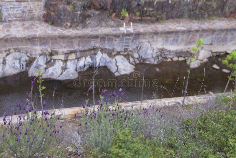 Lavander und bildete natürlich Schwimmbäder in Las Hurdes lizenzfreie stockfotografie Lavander und bildete natürlich Schwimmbäder in Las Hurdes lizenzfreie stockfotografie