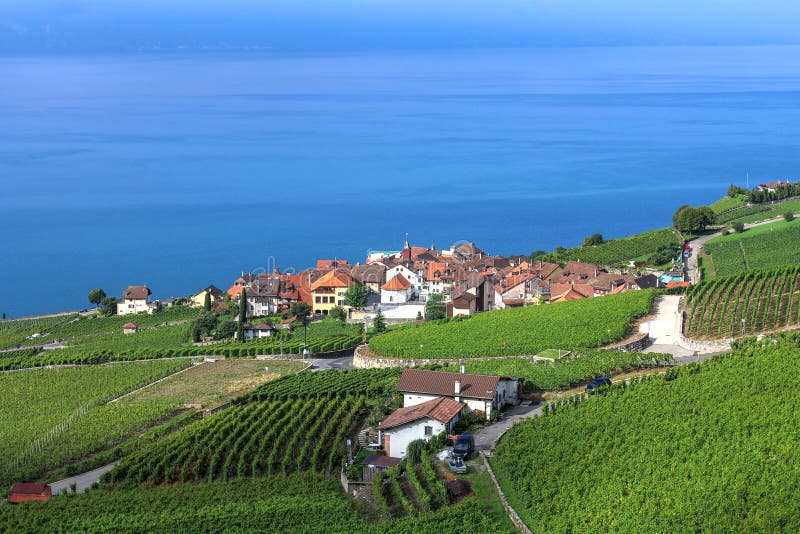 Lavaux, Suiza fotografía de archivo libre de regalías Lavaux, Suiza fotografía de archivo libre de regalías