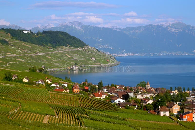 Il nord della collina del Lago Lemano (Lago di Ginevra), Svizzera, tra Losanna e Montreux, è ricoperto di pittoreschi vigneti, tutti sotto il nome di Lavaux e oggi Patrimonio Mondiale dell'umanità.