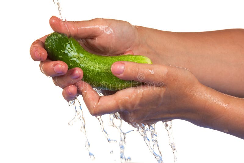 Wash the cucumber in the hands isolated on white background. Wash the cucumber in the hands isolated on white background