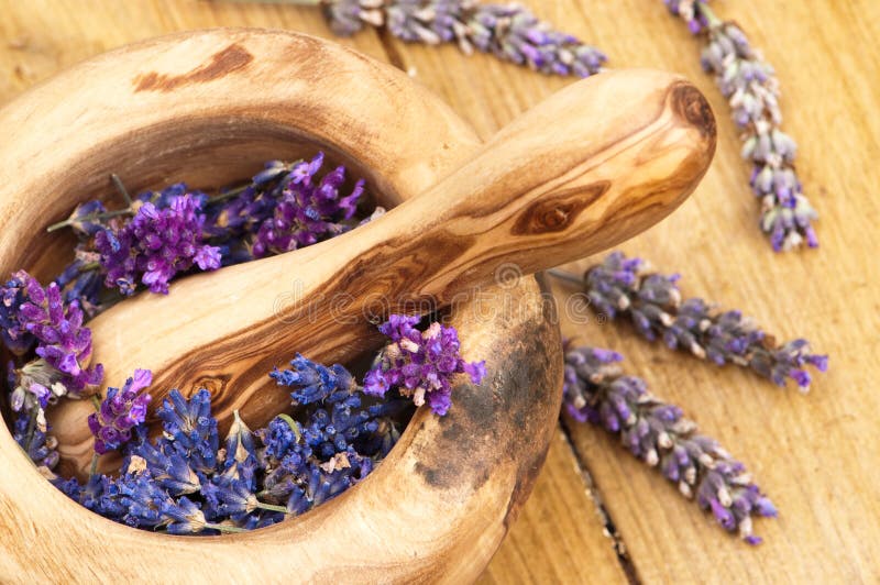 Lavendel stockbilder Lavendel stockbilder