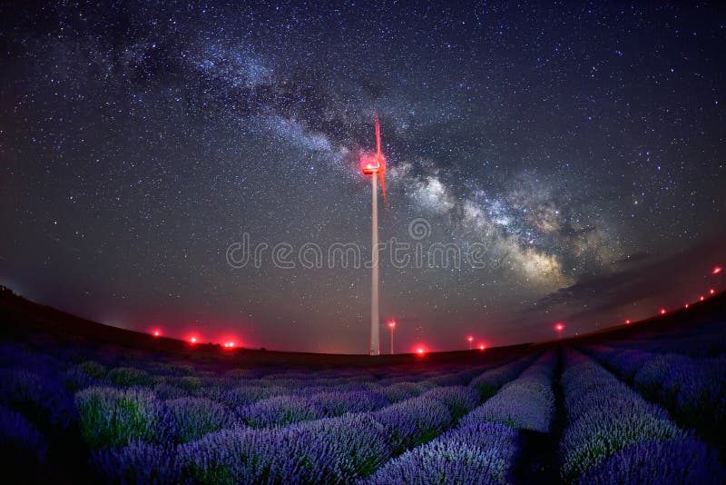 Lavendel blüht im Frühjahr, Nachtszene mit Milchstraße lizenzfreies stockbild Lavendel blüht im Frühjahr, Nachtszene mit Milchstraße lizenzfreies stockbild