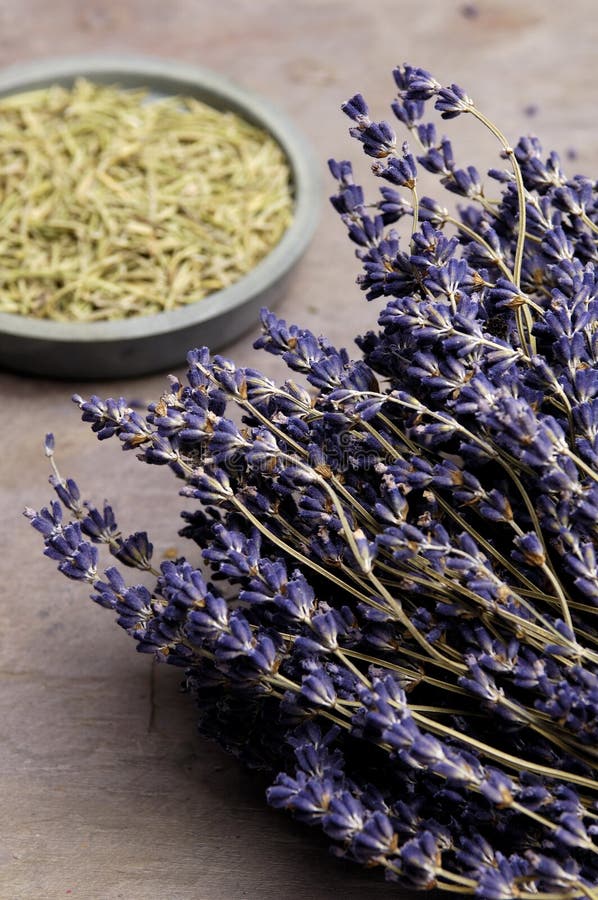 Lavendel und Rosemary stockbild Lavendel und Rosemary stockbild