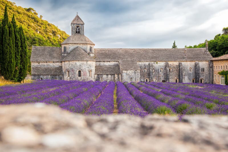 Lavendelfält med den Senanque kloster i Provence, Gordes, Frankrike royaltyfri bild