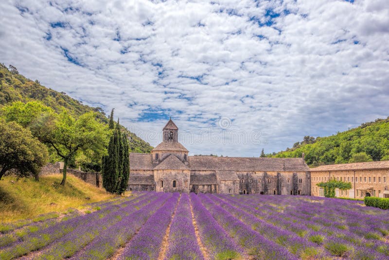 Lavendelfält med den Senanque kloster i Provence, Gordes, Frankrike royaltyfria foton
