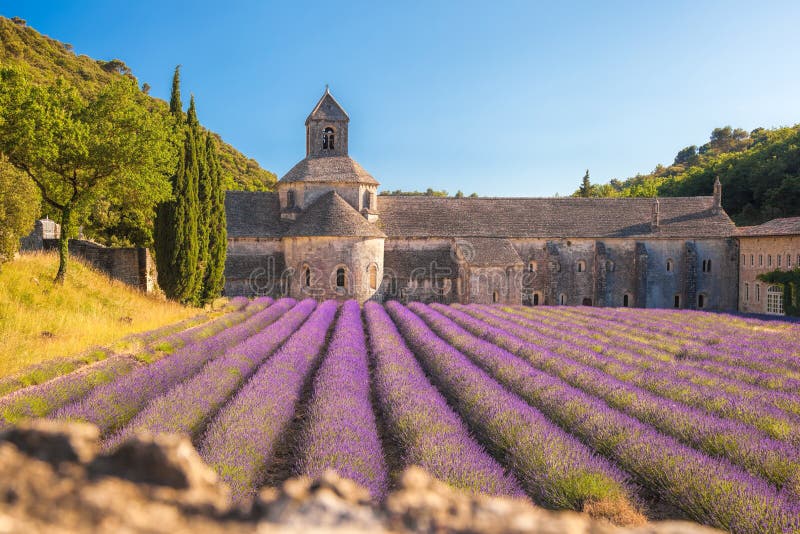 Lavendelfält med den Senanque kloster i Provence, Gordes, Frankrike arkivfoton