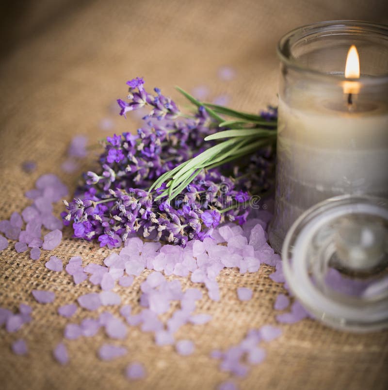 Lavender Aroma for Relaxation Stock Photo Image of growth, beauty