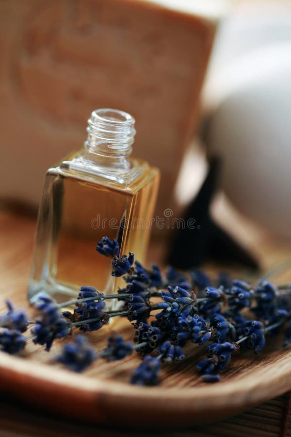 Lavender aromatherapy oil stock photo. Image of flower 13766456