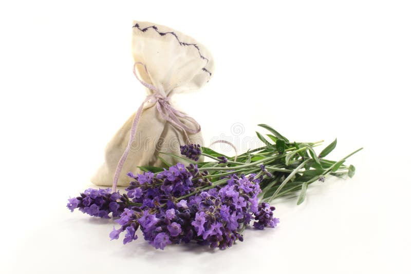 Fresh lavender flowers and lavender bag on a white background
