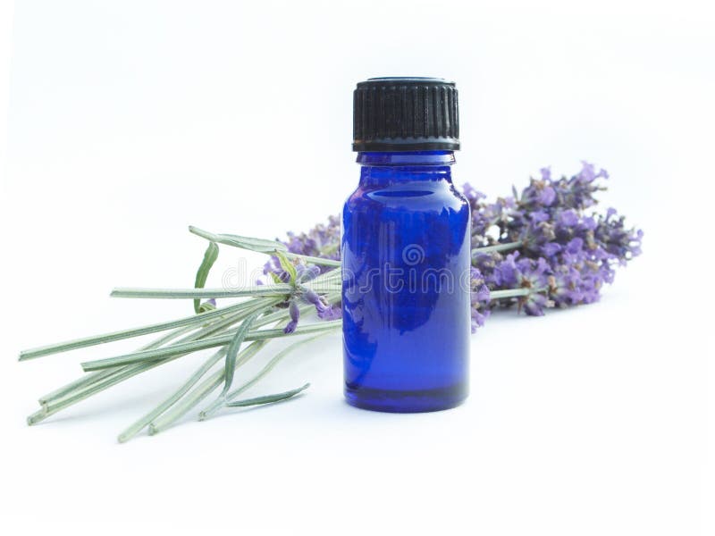 Lavender Bottle stock photo. Image of mind, essential, sent 169444