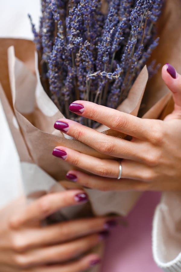 Lavender bouquet in female hands stock image Lavender bouquet in female hands stock image