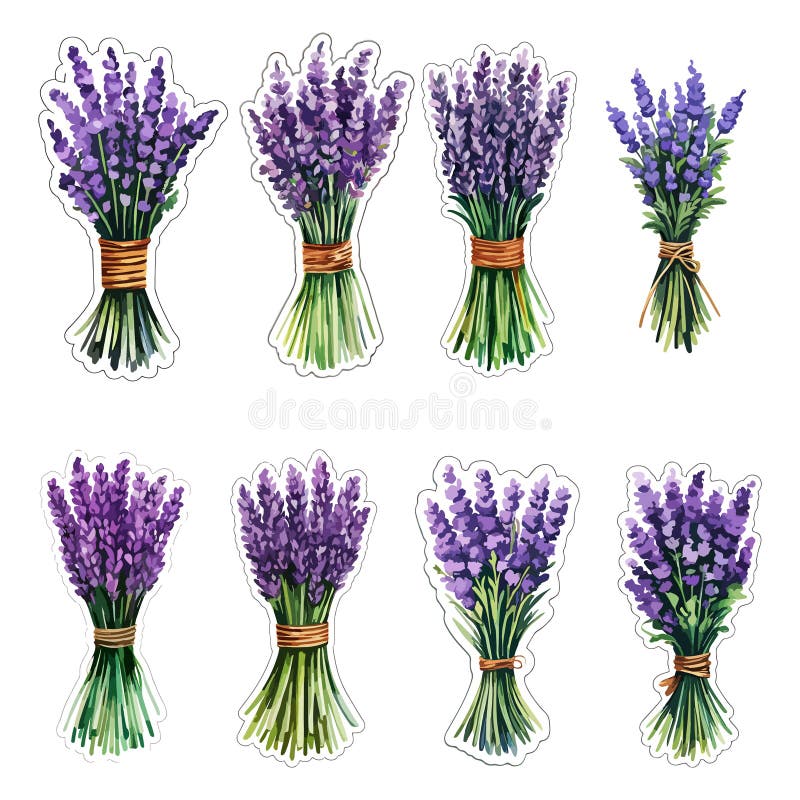 Lavender bukiety kwiaty naklejka naklejka ilustracja ilustracji