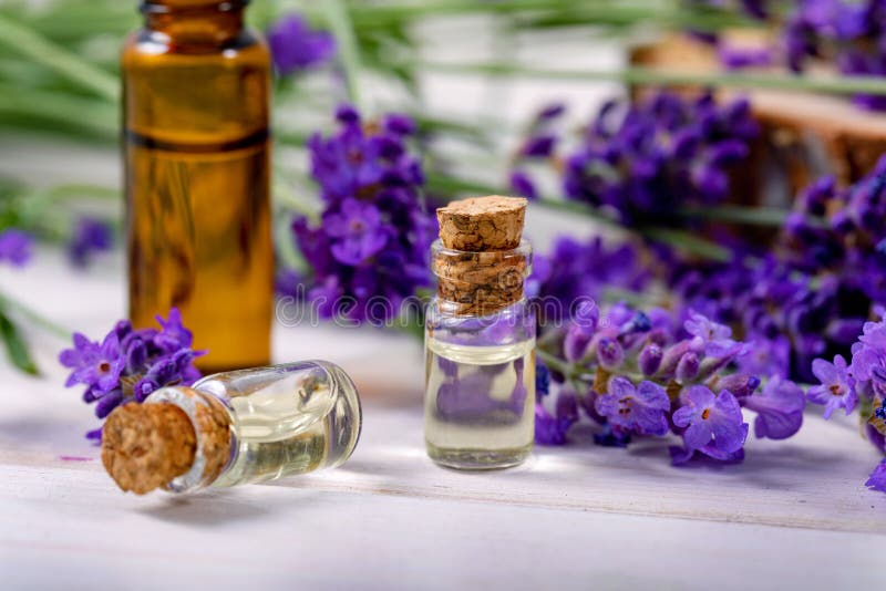 Dropper bottle of lavender essential oil, glass jar of dry lavender flowers,  bunches of dry lavender. Jars of different dry medicinal herbs on  background. Alternative medicine. Stock Photo