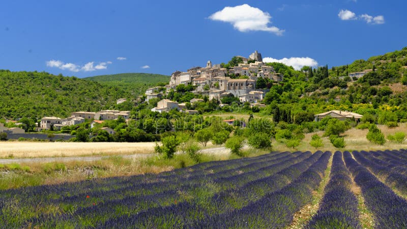 Lavender fields near Sault