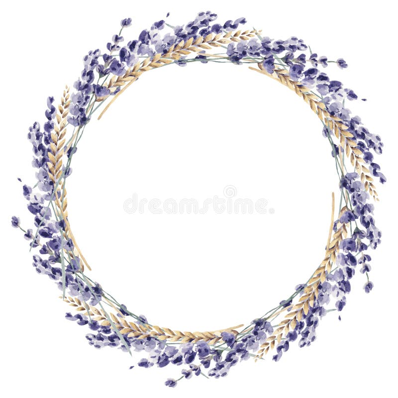 Lavender floral λουλούδι απεικόνισης watercolor χρωματισμένο χέρι prov