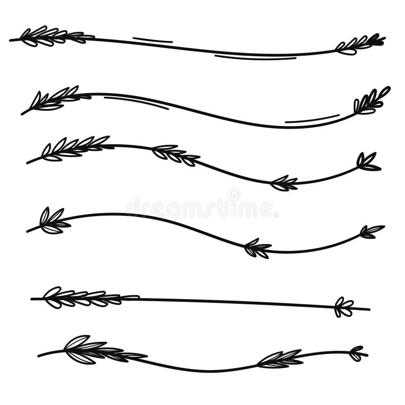 Lavender flowers divider for text layout and separator decoration stock illustration