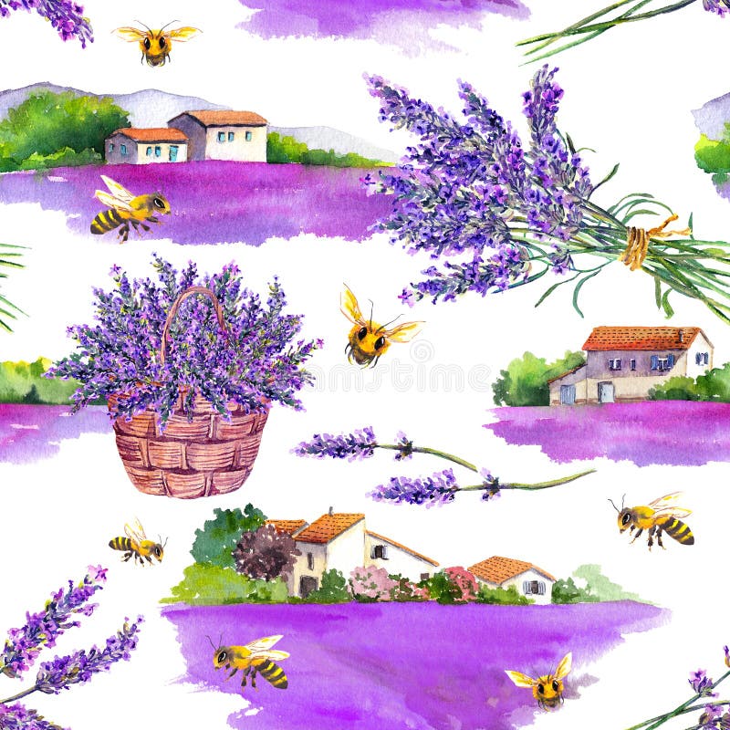 Lavender flowers, field, rural houses, honey bees. Floral basket, bouquet in french provencal style. Watercolor seamless royalty free illustration