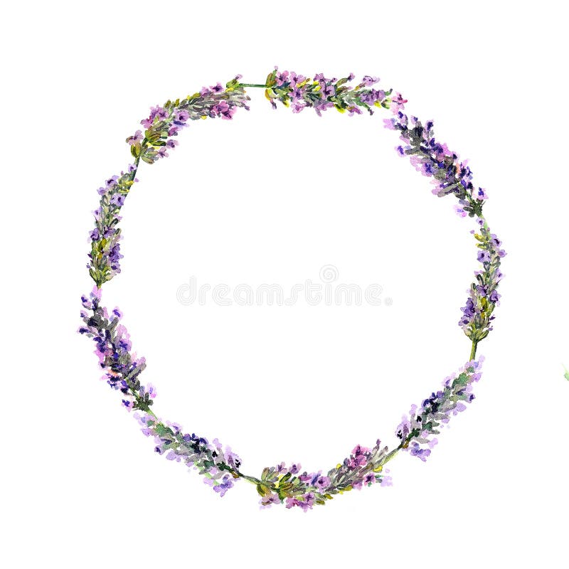 Lavender flowers wreath. Watercolor stock illustration Lavender flowers wreath. Watercolor stock illustration
