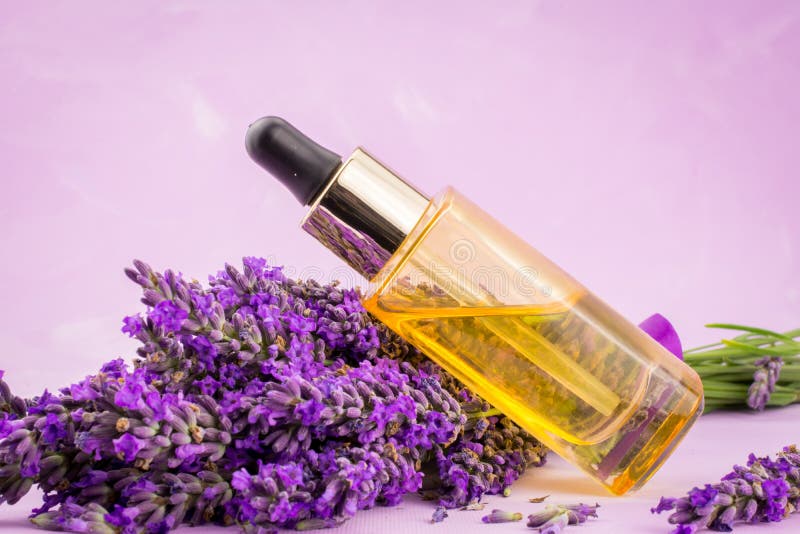 Lavender Herb and Essential Aromatherapy Oil Stock Photo - Image of ...