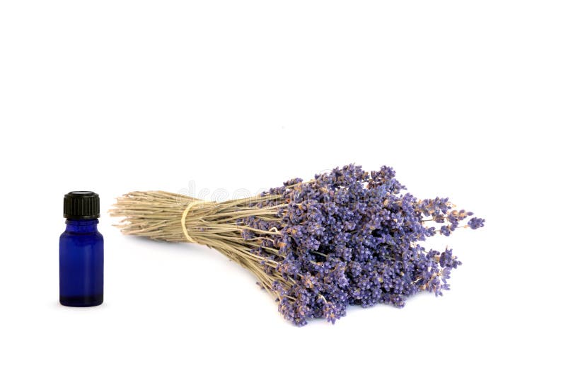 Lavender Herb Flowers Picture. Image 8142957