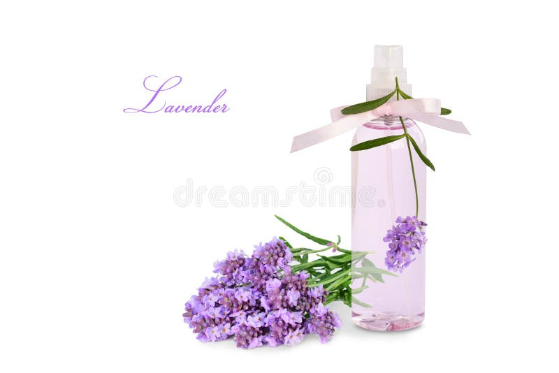25,874 Spray Flowers Stock Photos Free & RoyaltyFree Stock Photos