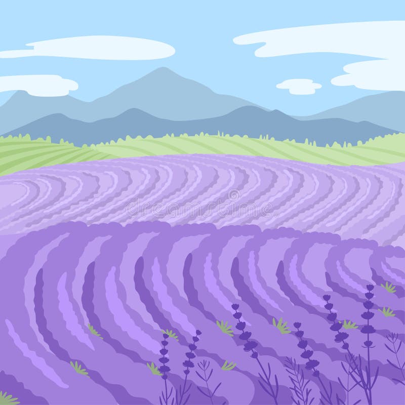 Lavendar Fields Clip Art Stock Illustrations – 3 Lavendar Fields Clip ...